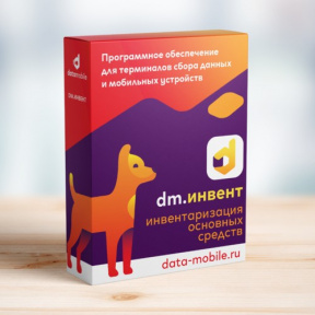 ПО DM.Основные средства: Invent